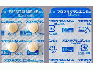 peostaglandin E2 Tablets 0.5mg(Dinoprostone 地诺前列酮「科研」)说明书
