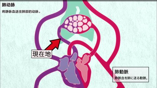 血管生成用伊洛前列素合适吗？