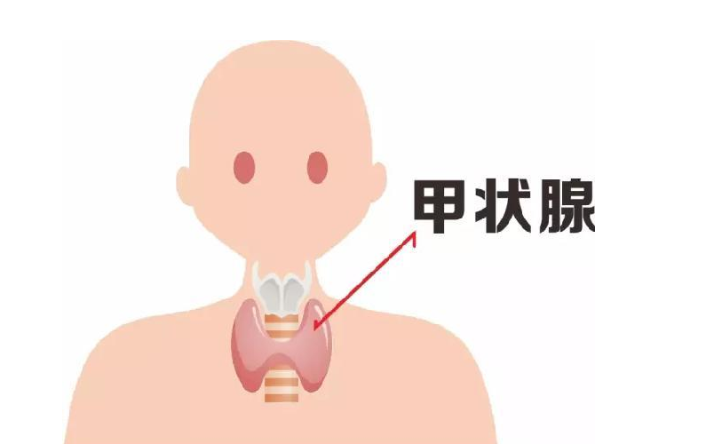 基因检测新进展：甲状腺癌基因检测