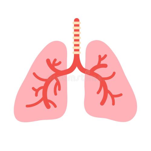 肺动脉高压的诊断和治疗途径有哪些？
