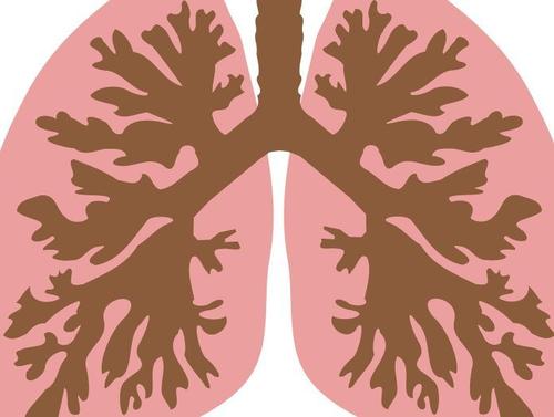 临床招募：评价龙七胶囊治疗非小细胞肺癌的有效性与安全性研究