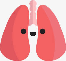 FDA接受LIQ861（曲前列环素）吸入粉治疗肺动脉高压的新药申请