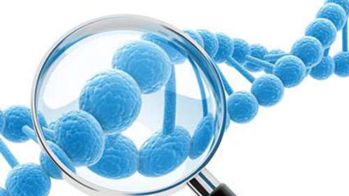 基因检测新进展：无创产前基因检测