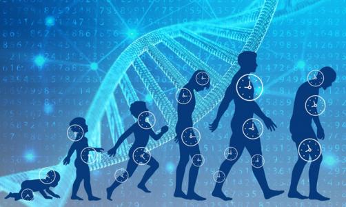 基因检测新进展：植入前胚胎遗传学筛查(PGS)