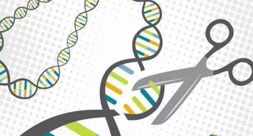 基因检测新进展：常见肿瘤个体化用药基因检测